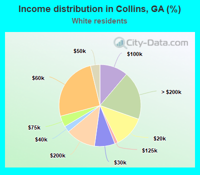 Income distribution in Collins, GA (%)