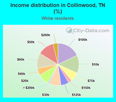 Income distribution in Collinwood, TN (%)