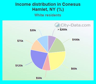 Income distribution in Conesus Hamlet, NY (%)