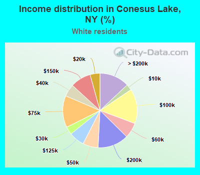 Income distribution in Conesus Lake, NY (%)