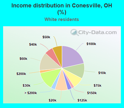 Income distribution in Conesville, OH (%)