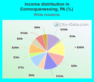 Income distribution in Connoquenessing, PA (%)