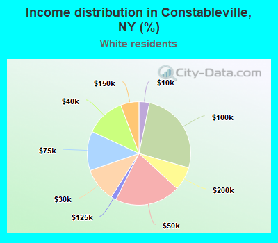 Income distribution in Constableville, NY (%)