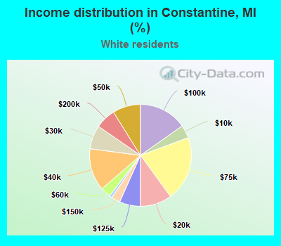 Income distribution in Constantine, MI (%)