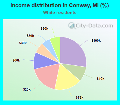 Income distribution in Conway, MI (%)