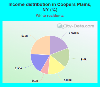 Income distribution in Coopers Plains, NY (%)
