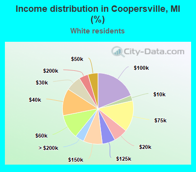 Income distribution in Coopersville, MI (%)
