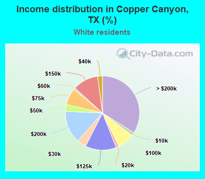 Income distribution in Copper Canyon, TX (%)