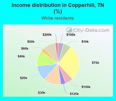 Income distribution in Copperhill, TN (%)