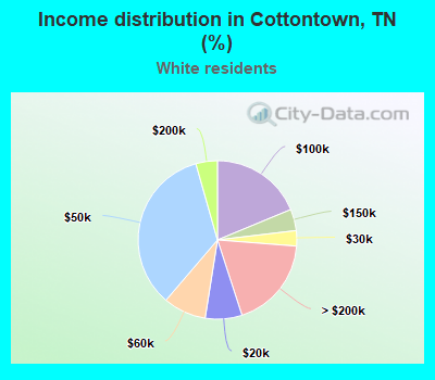 Income distribution in Cottontown, TN (%)