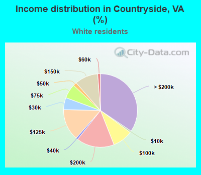 Income distribution in Countryside, VA (%)