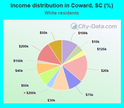 Income distribution in Coward, SC (%)
