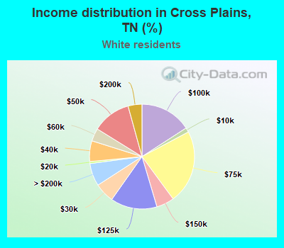 Income distribution in Cross Plains, TN (%)