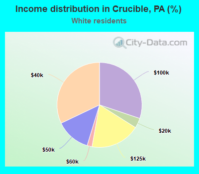 Income distribution in Crucible, PA (%)
