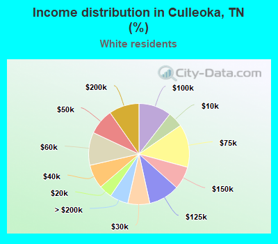 Income distribution in Culleoka, TN (%)