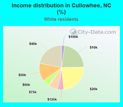 Income distribution in Cullowhee, NC (%)
