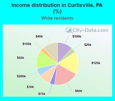 Income distribution in Curtisville, PA (%)