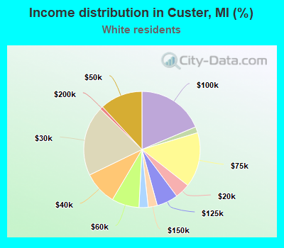 Income distribution in Custer, MI (%)