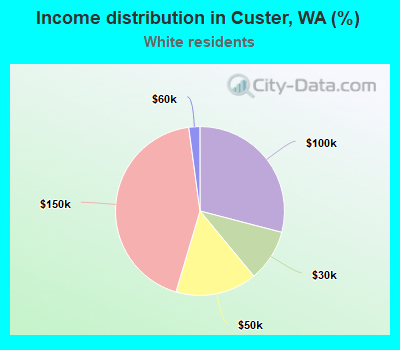 Income distribution in Custer, WA (%)