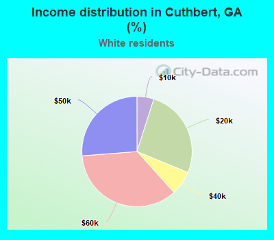 Income distribution in Cuthbert, GA (%)