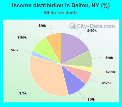 Income distribution in Dalton, NY (%)
