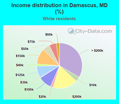 Income distribution in Damascus, MD (%)