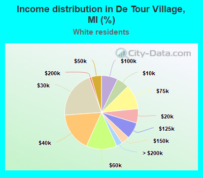 Income distribution in De Tour Village, MI (%)