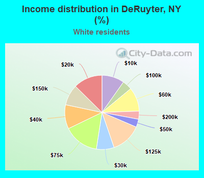 Income distribution in DeRuyter, NY (%)