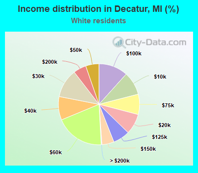 Income distribution in Decatur, MI (%)