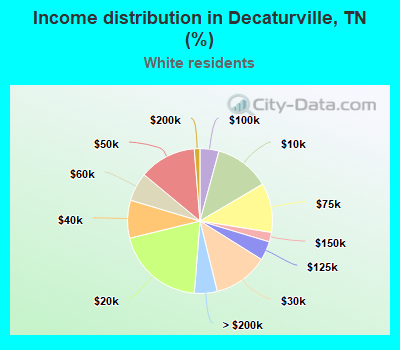 Income distribution in Decaturville, TN (%)