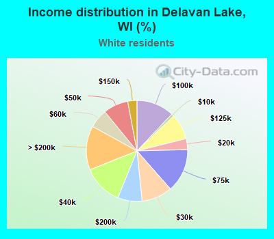 Income distribution in Delavan Lake, WI (%)