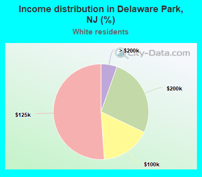Income distribution in Delaware Park, NJ (%)