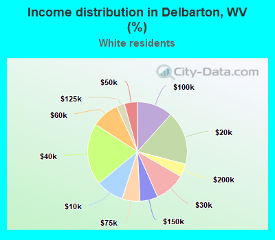 Income distribution in Delbarton, WV (%)