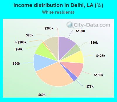 Income distribution in Delhi, LA (%)