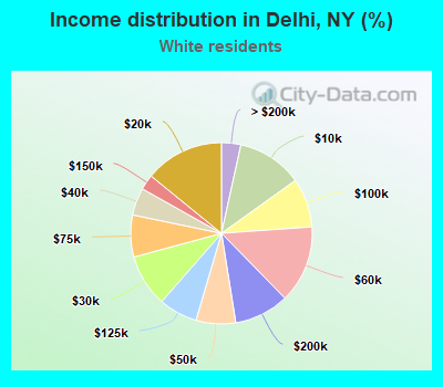 Income distribution in Delhi, NY (%)