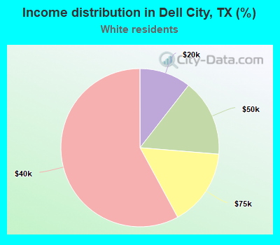 Income distribution in Dell City, TX (%)