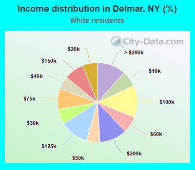 Income distribution in Delmar, NY (%)