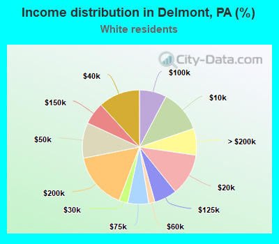 Income distribution in Delmont, PA (%)
