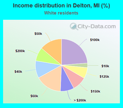 Income distribution in Delton, MI (%)