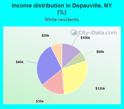 Income distribution in Depauville, NY (%)