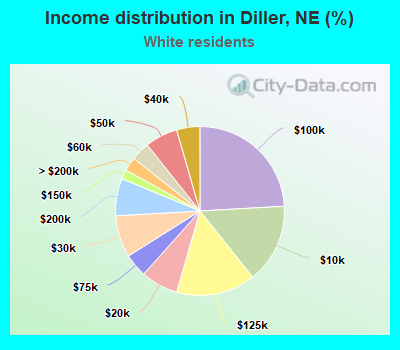 Income distribution in Diller, NE (%)