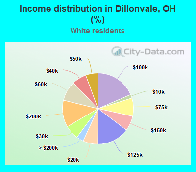 Income distribution in Dillonvale, OH (%)