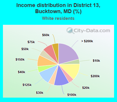 Income distribution in District 13, Bucktown, MD (%)