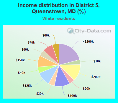 Income distribution in District 5, Queenstown, MD (%)