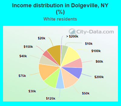 Income distribution in Dolgeville, NY (%)