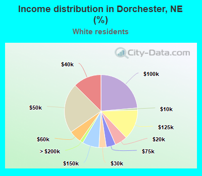 Income distribution in Dorchester, NE (%)