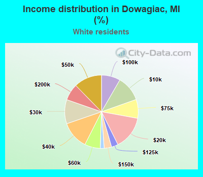 Income distribution in Dowagiac, MI (%)