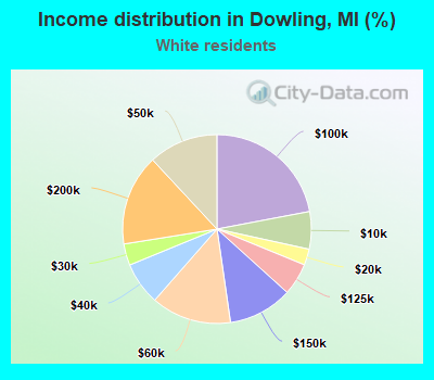 Income distribution in Dowling, MI (%)
