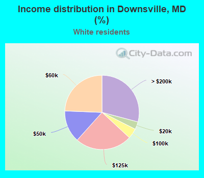 Income distribution in Downsville, MD (%)