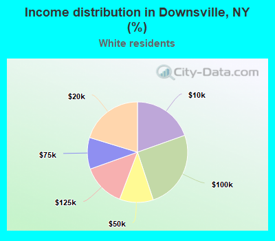Income distribution in Downsville, NY (%)